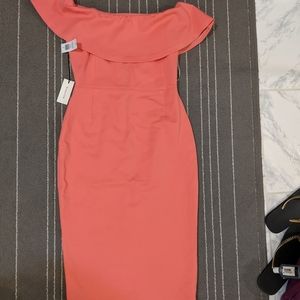 BNWT ARITZIA BABATON RUSLAN DRESS size 4
